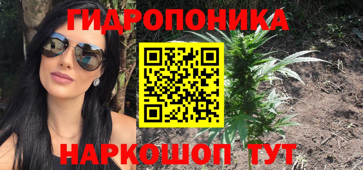 Конопля план Бугульма